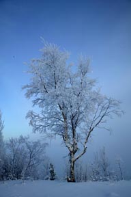 alaska dalton highway winter landscape photo