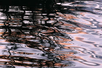 tree reflections at sunset photo