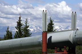 alaska pipeline and wrangell mountains photo