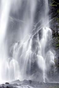 alaska eagle photography