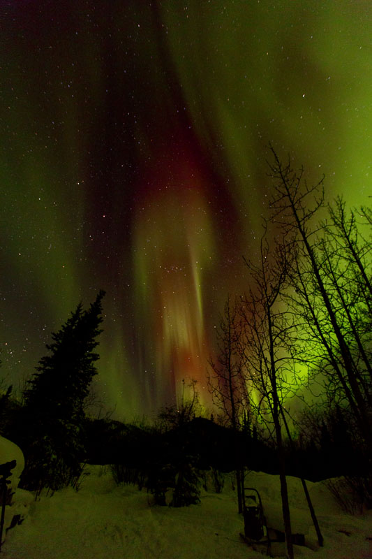 aurora boealis - northern lights - alaska