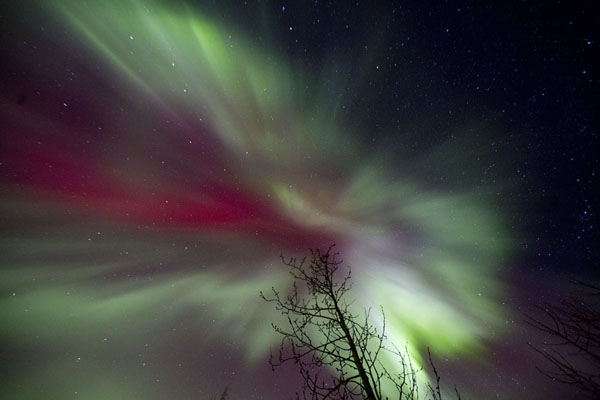 alaska northern lights aurora borealis photo