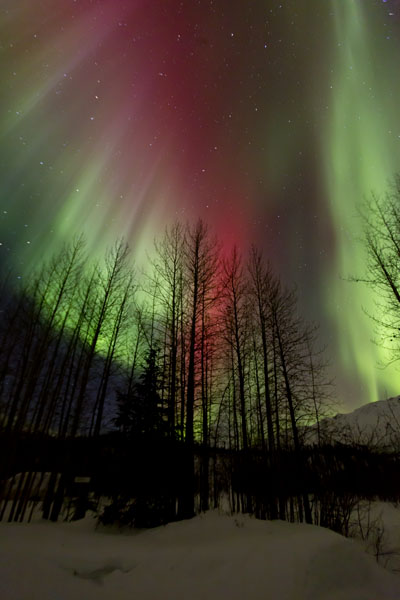 alaska northern lights aurora borealis photo