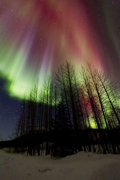 alaska northern lights aurora borealis photo