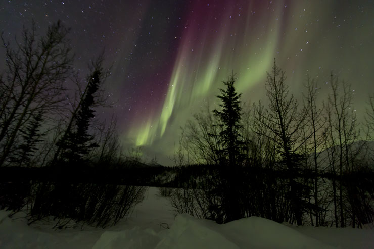 alaska northern lights aurora borealis photo
