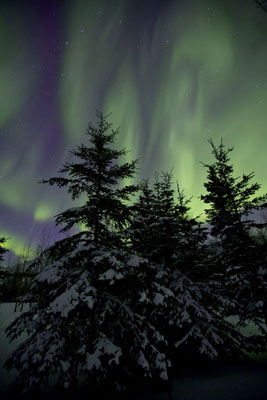 alaska northern lights aurora borealis photo