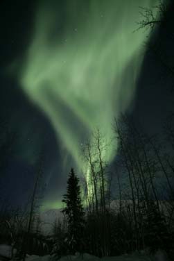fairbanks world ice sculpting championships photograph, alaska northern lights photo workshop