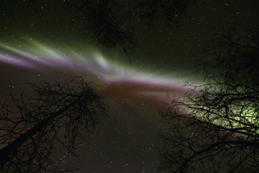 alaska northern lights aurora borealis photo