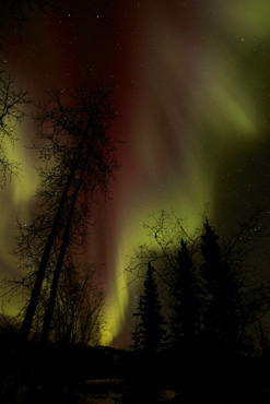 alaska northern lights aurora borealis photo