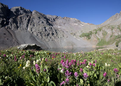 clear lake and paintbrush photo colorado