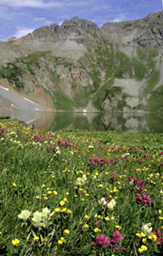 clear lake near silverton colorado wildflowers photo