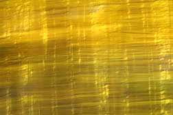 aspen abstract coloado autum fall color photo