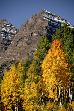 maroon bells aspen coloado autum fall color photo