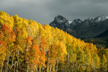 kebler pass in fall photograph, colorado fall color photo workshop
