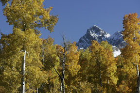 mount sneffels last dollar road coloado autum fall color photo