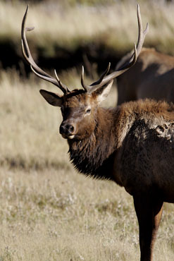 colorado fall color photography workshop