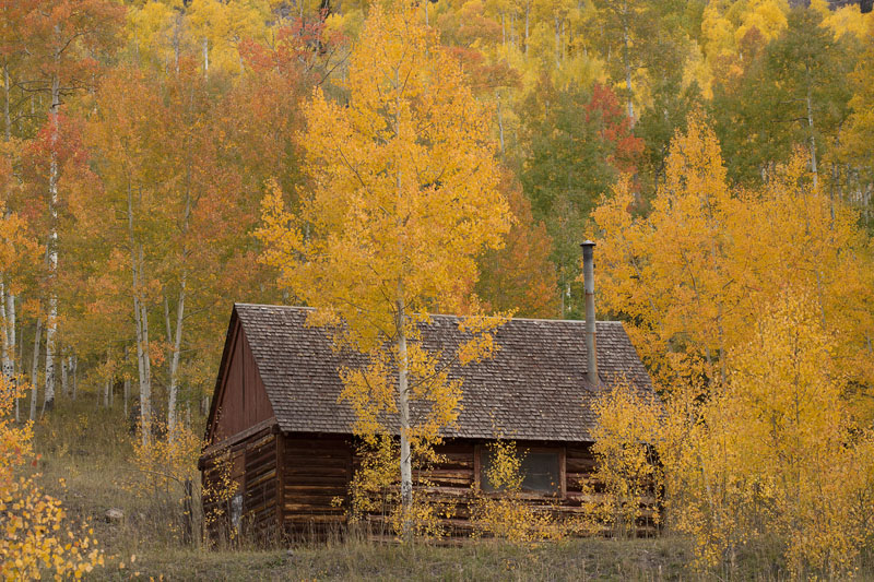 colorado cabin in fall
