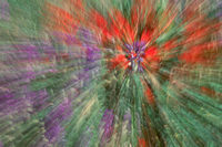 design elements color photography