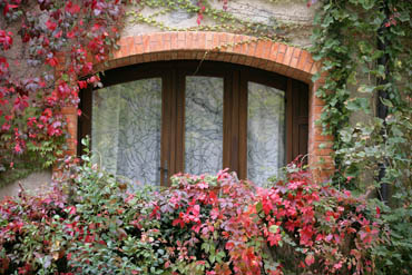 sainte rosaline winery, france, ornate window, fall color, vine covered wall