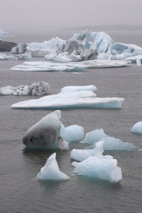 glacial lagoon iceland photo