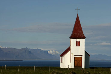 icelandic horses photo