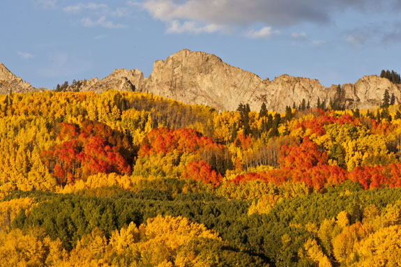 kebler pass reds in fall