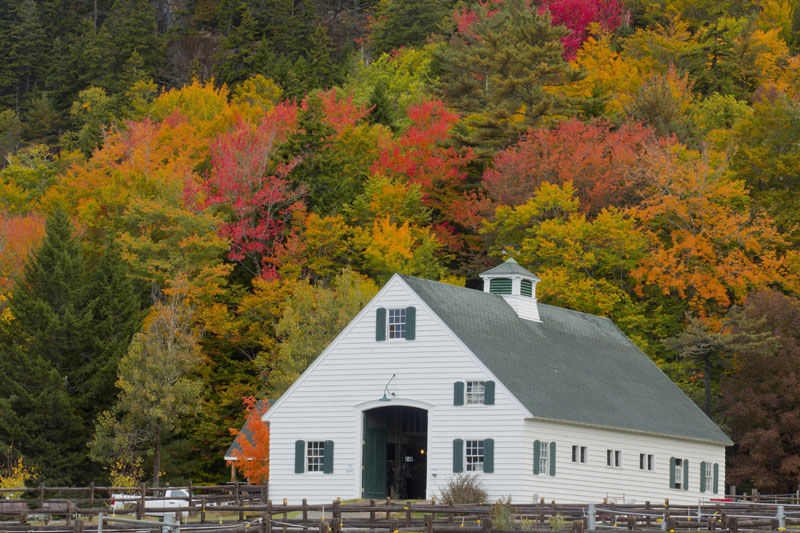 acadia stables and fall color