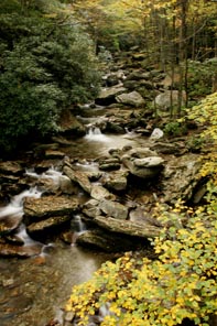 mountain stream in fall on blue ridge parkwway photograph