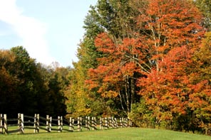 fall autumn on blue ridge parkway north carolina photo