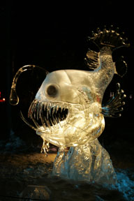 fairbanks world ice sculpting championships photograph, alaska northern lights photo workshop