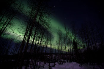 alaska northern lights aurora borealis photo