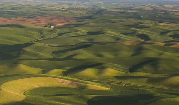 cabin in the snow photo
