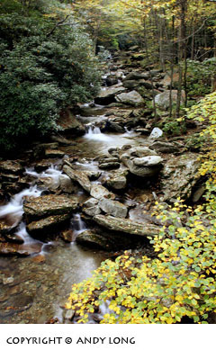  north carolina fall color creekphotography