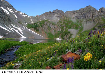 mountain lake wildflower photography