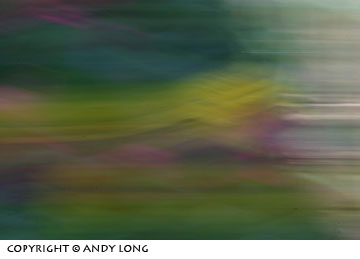 special technique panning wildlflower photography