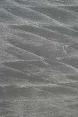 oregon coast sand ridge patterns photograph