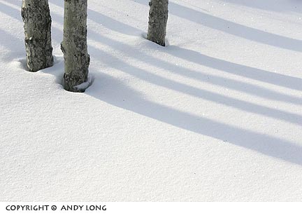 design elements shadow photography