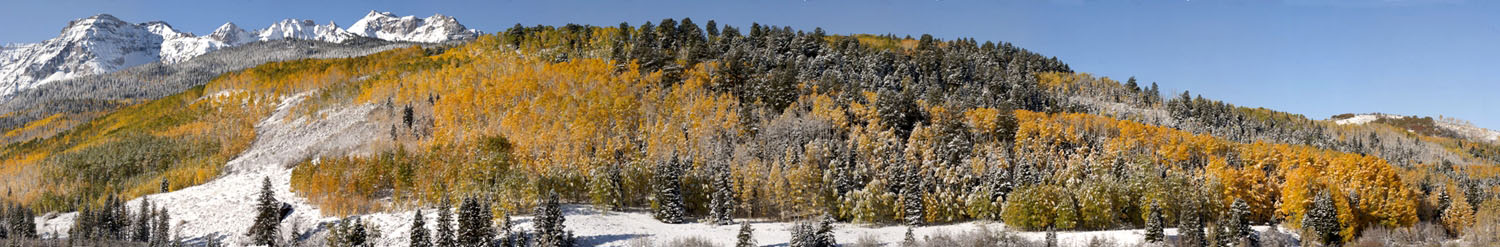 snow goose landing bosque del apache