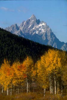fall color grand teton national park star trails night photography photograph