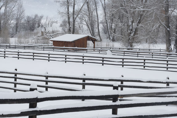 corral fencing covered in snow