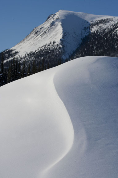 lines in the snow along alaska dalton highway