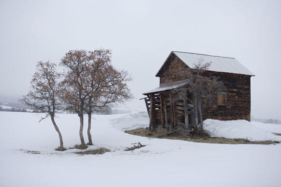 old cabin in snow ridgway colorado