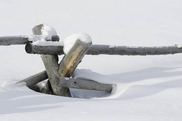 colorado winter photography workshop