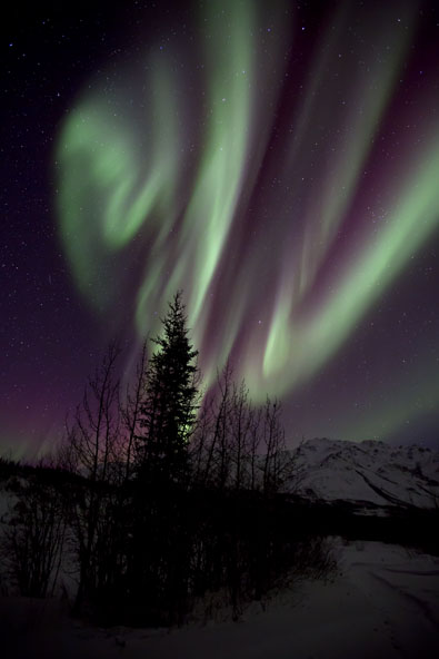 alaska northern lights aurora borealis photo