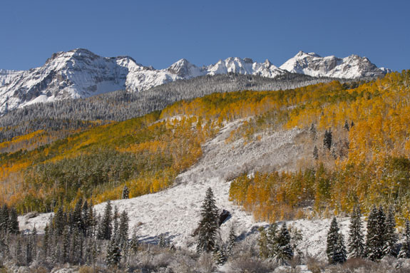 sneffels range fall color and fresh snow