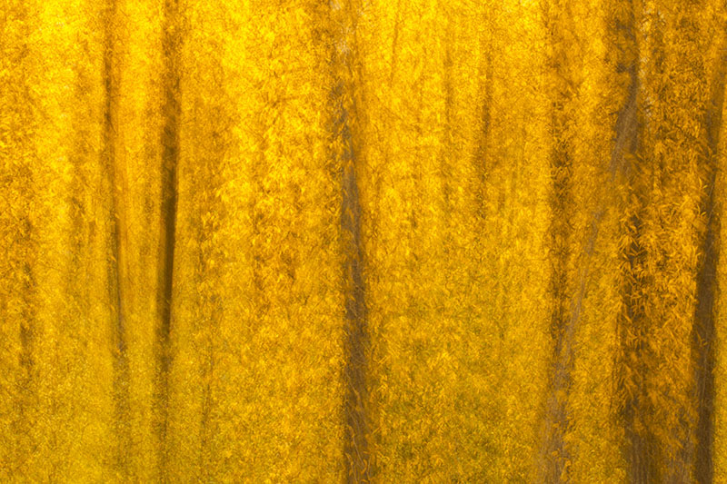 canon 5d miii multiple exposure fall color